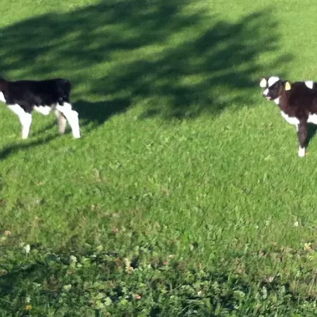 Ca Di Siro Ferienhaus